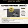 Photos Exhibition & Vernissage "Limites"
