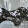 5th JR Exhibit at Perrotin Galeria