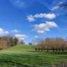 End of Spring Hike in the Flemish Ardennes