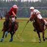 🏇 Niagara Polo: Sport, Socializing & Networking