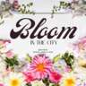 InterNations Montreal - Bloom in the City @ Pangea