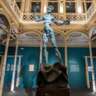 Salvador Dalí: Beyond the Canvas