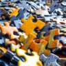 Join Us for a Community Puzzle Afternoon!