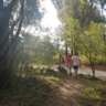 Networking Hike for Young Professionals