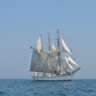 Sails on the Potomac/Jazz Fest