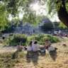 InterNations Cambridge June (Outdoor) Event