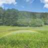 Hike: Neckarsteig Part 1 (14km, 600m Elevation Gain)