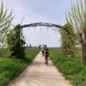 New Landscapes 2026