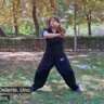 Tai Chi Chuan at the Retiro Park With A Professional
