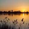 Beautiful Walk Kralingse Plas