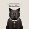 Discussion of Poeta Chileno (Chilean Poet), by Alejandro Zambra
