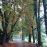 Energizing Walk in Nature