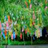 Tanabata Celebration and Flea Market 2026