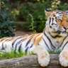From the Zoo to the Niehler Port