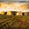 Tokaj  Special – Luxury Edition WINE Tasting