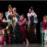 Flamenco and Sangria in the Sun! 