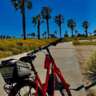 InterNations Bike Ride: Mission Bay & Fiesta Island