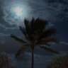 Full Moon Yoga, Potluck & Birthday! 