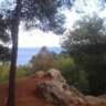 Morlaco Park Walk & Picnic – Join Us!