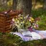 Picnic in the Park - August Books