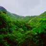 Nature & History