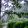 Run/Jog/Speed Walk in Ojcow (Weather Permitting)