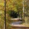 Hike the Rouge National Urban Park