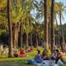     Summer Picnic & Chat