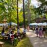 Scenic Hike & Waldfest