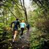 Early Morning Run/Walk in the Trail