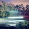 Lets Meet at 'Light and Wonder Always'
