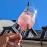Sunny Friday Lunch