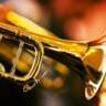 Trumpet Swing's Best