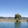 MEETING BY THE LAKE IN ZURICH
