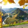 From Walporzheim to Dernau through the Vineyards