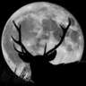 BUCK Full Moon Yoga, Potluck & Drum Circle