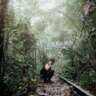 Hidden Forest Trail to Explore