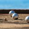 Après-Midi Pétanque
