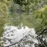 Ladies-Only Hike: Shady Aubach Forest Trail & Weßlinger See