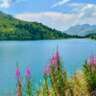 The Four Lakes Hike: Engleberg - Jochpass - Melchsee-Frutt
