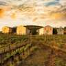 The King of Wines, the Wine of the Kings - Tokaji Wine Tasting