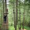 Reach New Heights: TreeTop Adventure Challenge! 🌳🧗♂️