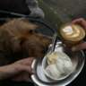 PAWrfect Saturday With Ice Cream and Coffee