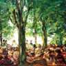 Summer Time - Beer Garden Time under the Trees