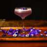 InterNations Palm Beach - Le Vie Lebanese Cuisine & Bar
