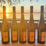 Somló Uncorked: A Volcanic Wine Experience