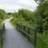 Castletown House & Parklands Walk