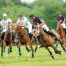 Cloverleaf Polo Classic 2026
