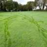 Golf for Beginners - Geneva Near CERN
