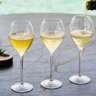 Sold Out Champagne Tasting